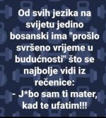 2BDC73DB-EF57-4352-9F0C-1E43CEB2EB54.jpeg